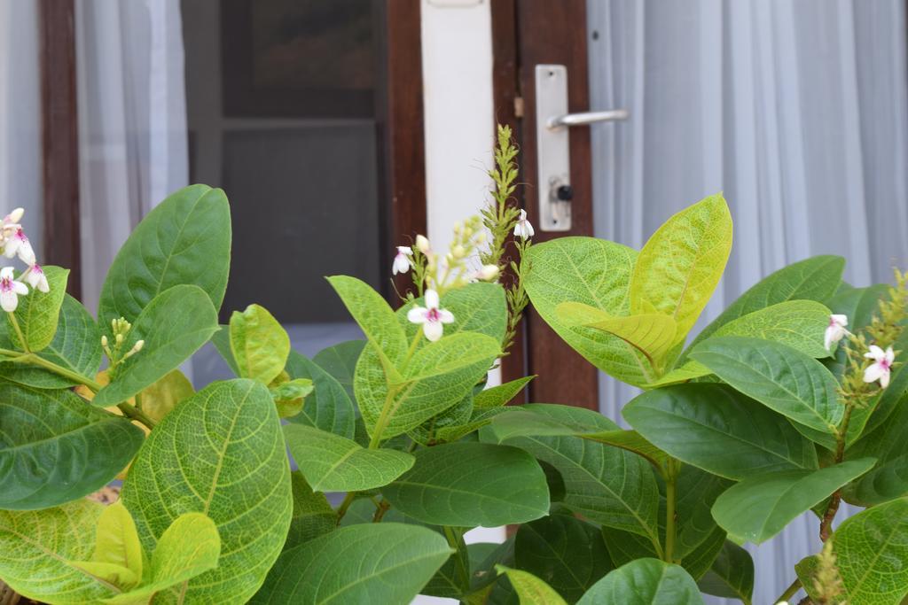 Gili Sands Hotel & Bar Quần đảo Gili Phòng bức ảnh
